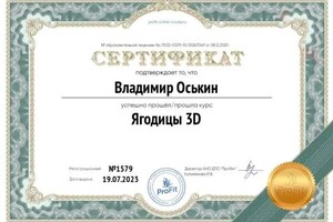 Диплом / сертификат №24 — Оськин Владимир Владимирович