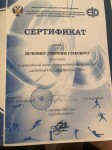 Диплом / сертификат №26 — Печеник Дмитрий Глебович