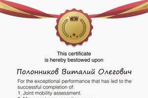 Диплом / сертификат №3 — ИП Полонников Виталий Олегович