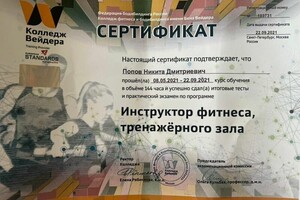 Диплом / сертификат №1 — Попов Никита Дмитриевич