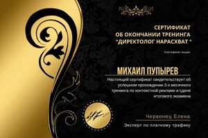 Диплом / сертификат №2 — Пупырев Михаил Юрьевич