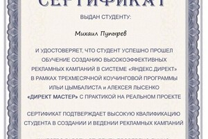 Диплом / сертификат №9 — Пупырев Михаил Юрьевич