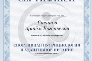 Диплом / сертификат №2 — Саенков Артём Евгеньевич