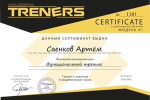 Диплом / сертификат №8 — Саенков Артём Евгеньевич