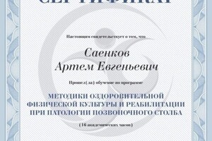 Диплом / сертификат №9 — Саенков Артём Евгеньевич