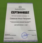 Диплом / сертификат №12 — Семенов Илья Петрович