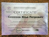 Диплом / сертификат №9 — Семенов Илья Петрович