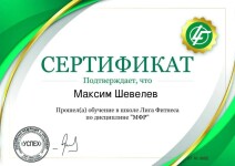 Диплом / сертификат №3 — Шевелев Максим Александрович