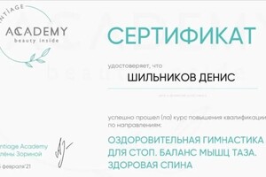 Диплом / сертификат №6 — Шильников Денис Владимирович