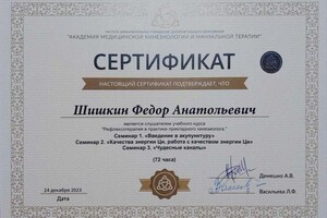 Диплом / сертификат №32 — Шишкин Фёдор Анатольевич