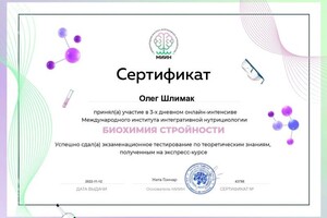 Диплом / сертификат №17 — Шлимак Олег Анатолиевич