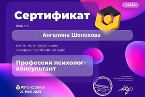 Диплом / сертификат №1 — Шолохова Ангелина Александровна