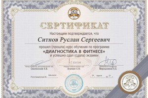 Диплом / сертификат №1 — Ситнов Руслан Сергеевич