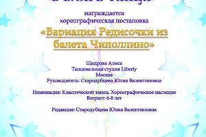 Диплом / сертификат №3 — Стародубцева Юлия Валентиновна