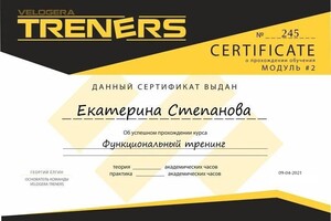 Диплом / сертификат №5 — Степанова Екатерина Сергеевна