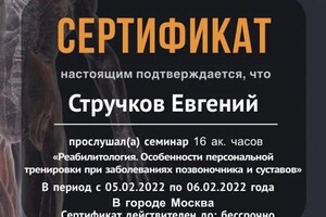 Диплом / сертификат №4 — Стручков Евгений Олегович