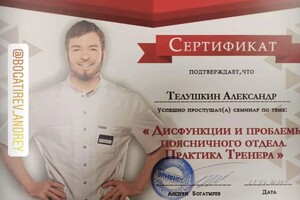 Диплом / сертификат №11 — Тёлушкин Александр Сергеевич