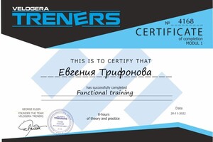 Диплом / сертификат №17 — Трифонова Евгения Алексеевна