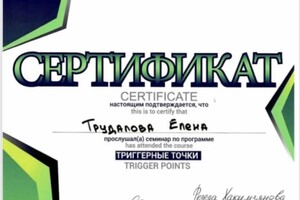 Диплом / сертификат №8 — Трудалова Елена Александровна