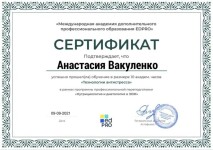 Диплом / сертификат №13 — Вакуленко Анастасия Андреевна