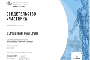 Диплом / сертификат №7 — Вершинин Валерий Витальевич