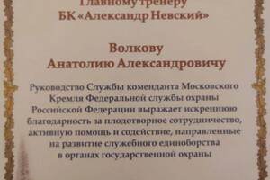 Диплом / сертификат №3 — Волков Анатолий Александрович