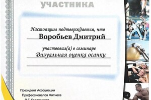 Диплом / сертификат №4 — Воробьев Дмитрий Вячеславович