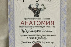 Диплом / сертификат №6 — Щербакова Алёна Вячеславовна