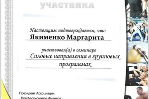 Диплом / сертификат №2 — Якименко Маргарита Александровна