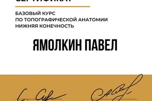 Диплом / сертификат №4 — Ямолкин Павел Владимирович