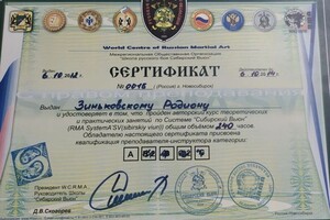 Диплом / сертификат №19 — Зиньковский Родион Арнольдович