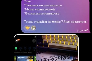 Ведение ежедневной отчетности по общей активности и программы калорийности рациона. Ежедневная связь с клиентом: мягкая... — Злыденко Снежана Владимировна