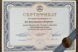 Диплом / сертификат №6 — Зуб Константин Игоревич