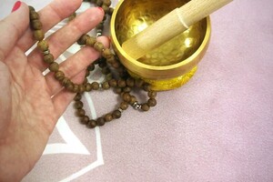 Шаркова Полина — Портфолио №8