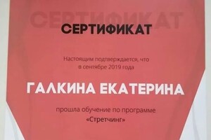 Диплом / сертификат №2 — Галкина Екатерина Владимировна