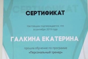 Диплом / сертификат №3 — Галкина Екатерина Владимировна