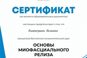 Диплом / сертификат №4 — Галкина Екатерина Владимировна