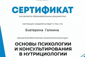 Диплом / сертификат №5 — Галкина Екатерина Владимировна