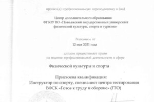 Диплом / сертификат №12 — Рассказов Даниил Валерьевич