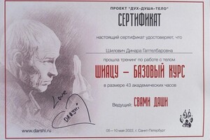 Диплом / сертификат №4 — Шилович Динара Гаптелбаровна