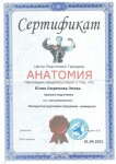 Диплом / сертификат №18 — Амренова-Эпова Юлия Николаевна