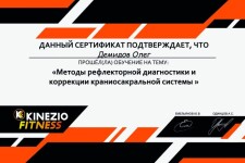 Диплом / сертификат №4 — Демидов Олег Сергеевич