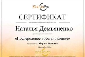 Диплом / сертификат №43 — Демьяненко Наталья Валерьевна