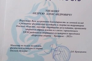 Диплом / сертификат №1 — Ушаков Андрей Александрович