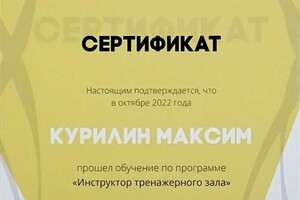 Диплом / сертификат №1 — Курилин Максим Сергеевич