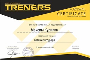 Диплом / сертификат №16 — Курилин Максим Сергеевич