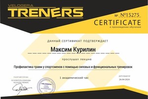 Диплом / сертификат №17 — Курилин Максим Сергеевич