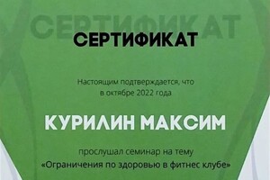 Диплом / сертификат №2 — Курилин Максим Сергеевич