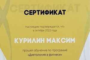 Диплом / сертификат №6 — Курилин Максим Сергеевич