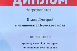 Диплом / сертификат №3 — Иглин Дмитрий Александрович
